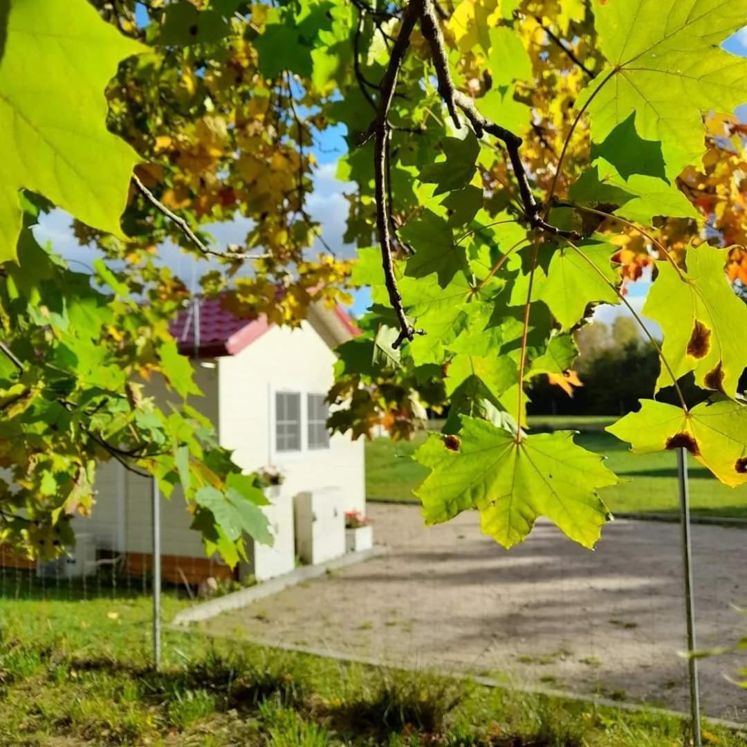 Osada Wilaneska Domki Mikolajki Mazury Esterno foto