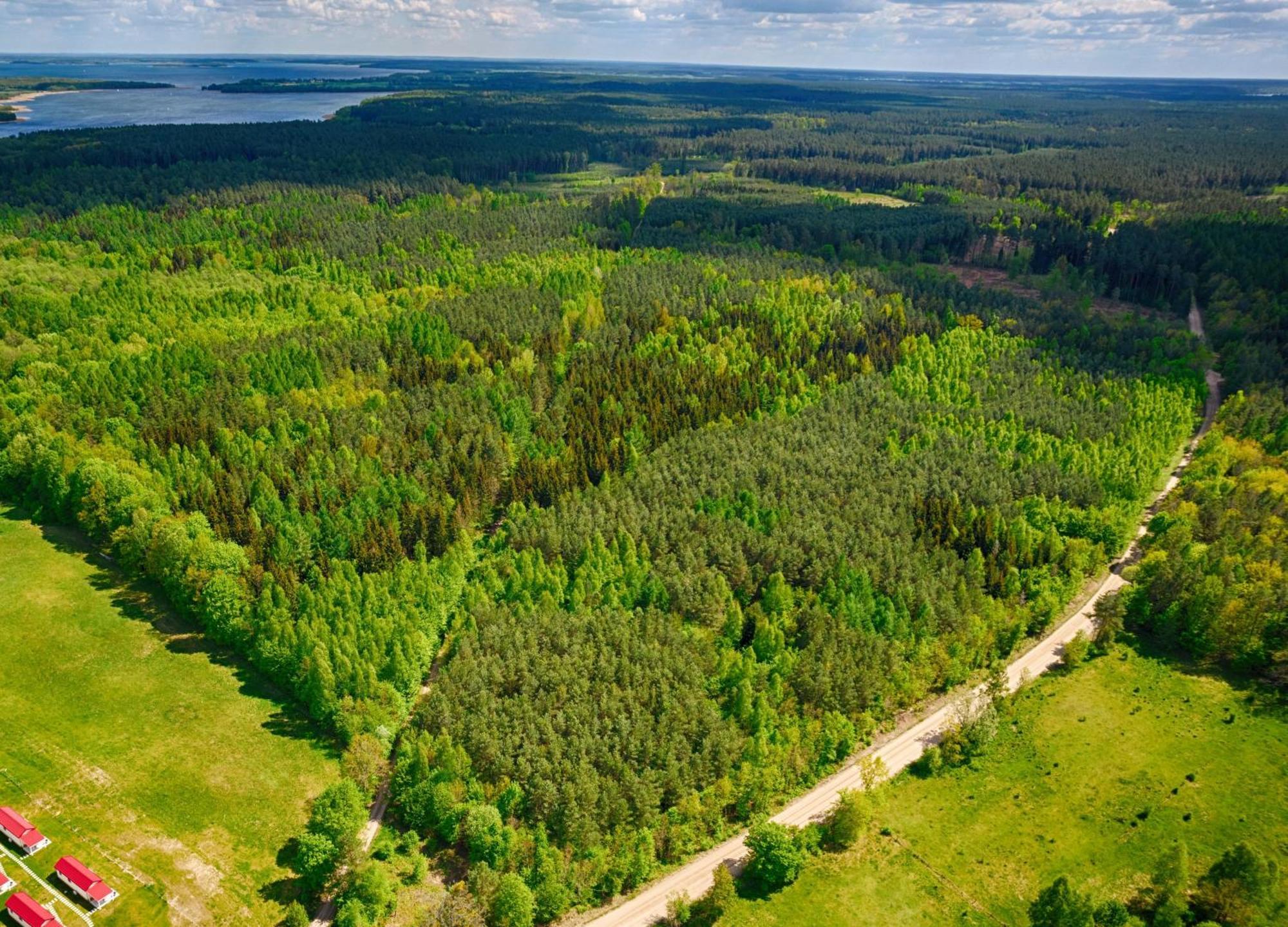 Osada Wilaneska Domki Mikolajki Mazury Esterno foto